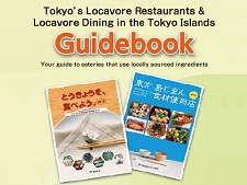 Picture of Guidebook