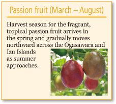 Passion fruit (March – August)