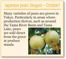 Japanese Pears (August – October)
