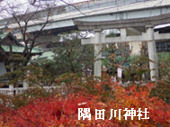 隅田川神社の写真