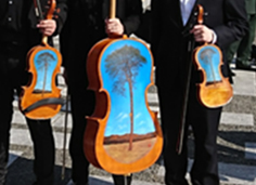 ツナミバイオリンの写真