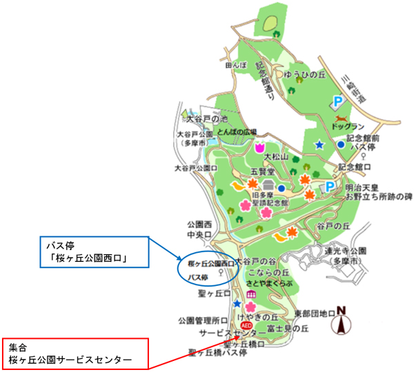公園内の地図